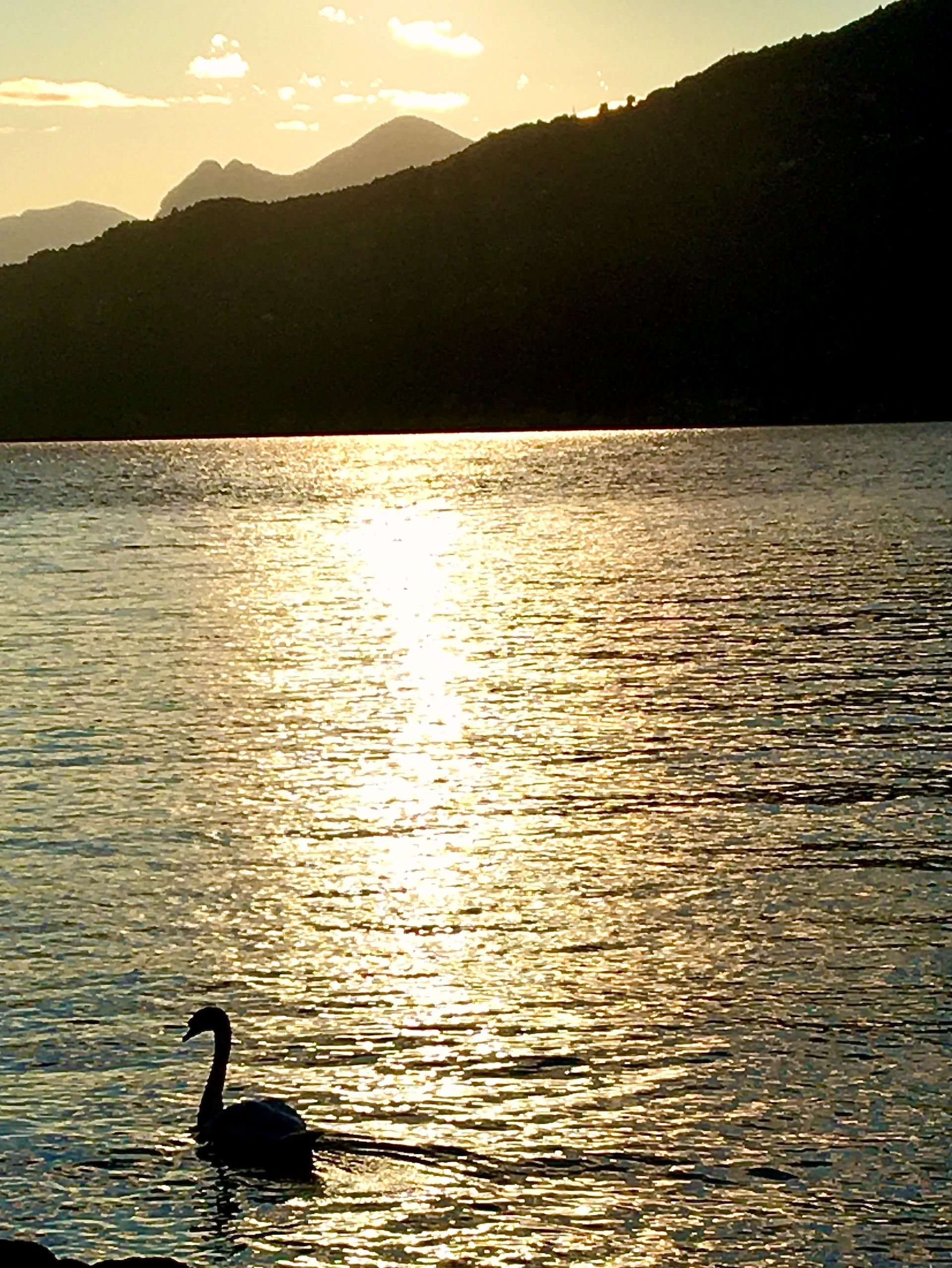 lake Como private boat tours 2 hours
tour privato di 2 ore sul lago di Como Italia