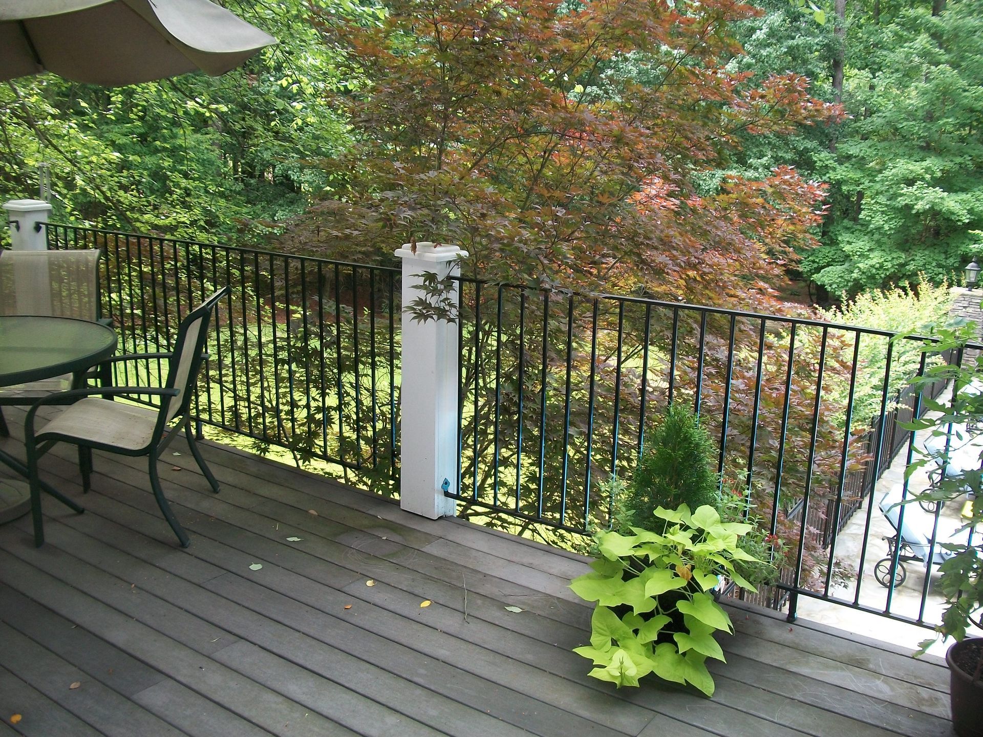 A deck with a table and chairs and a potted plant