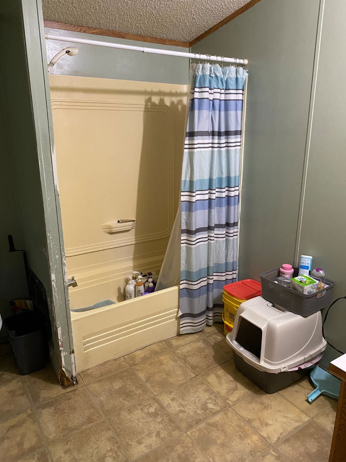 A bathroom with a bathtub , shower curtain , and cat litter box.