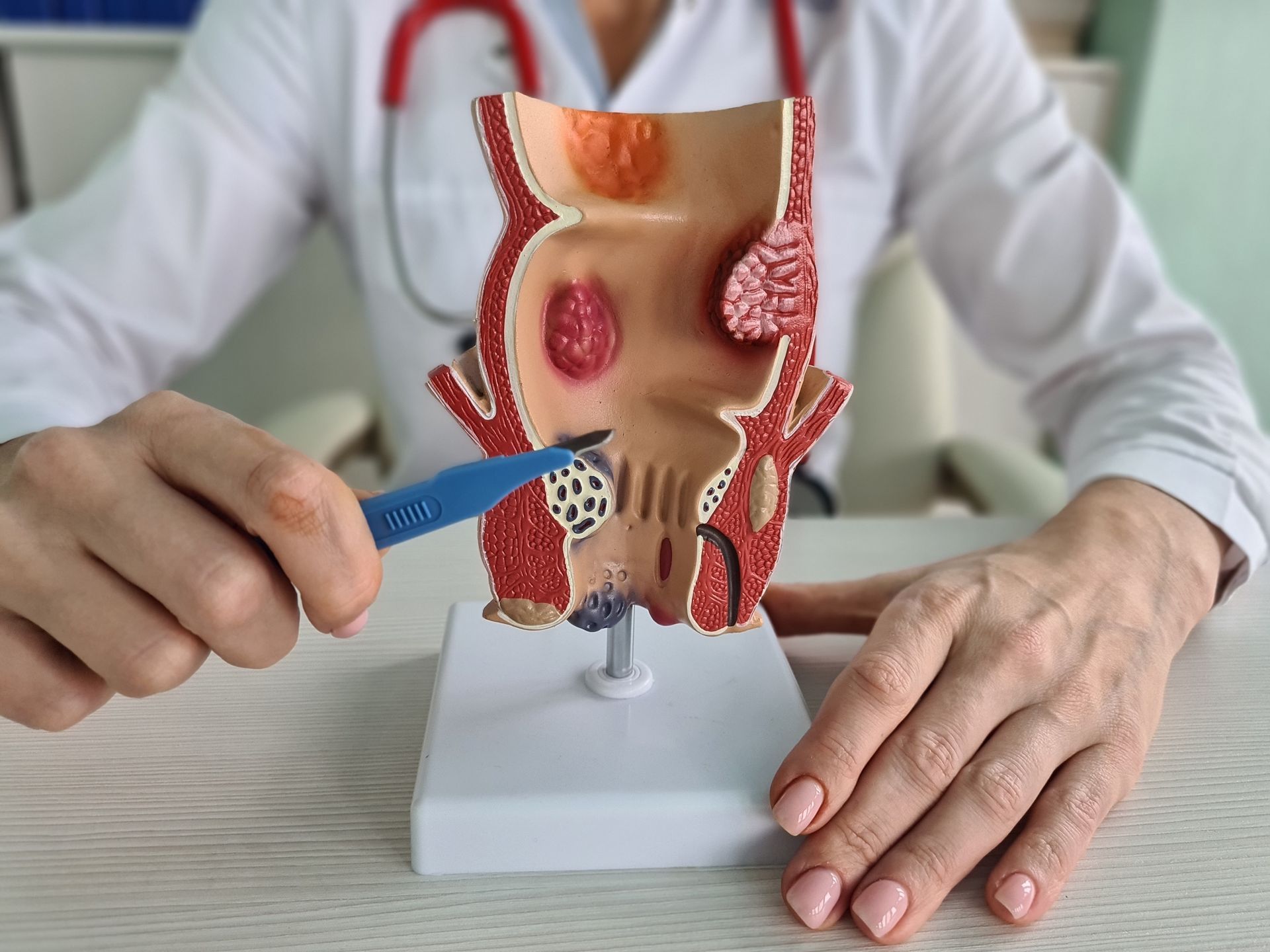 a doctor with anatomy model