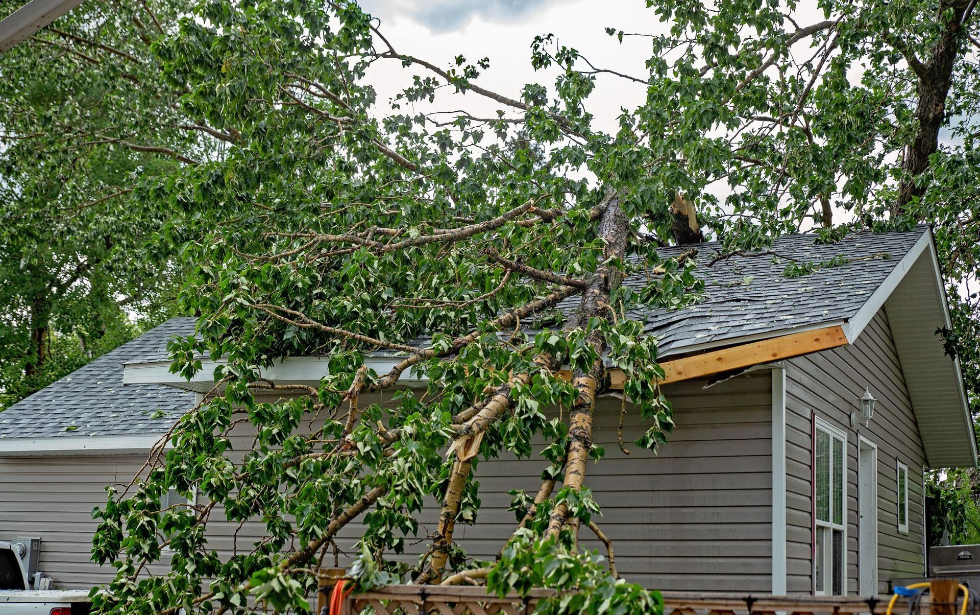 A tree has fallen on the roof of a house image from Washington Roofing Services near Arlington WA