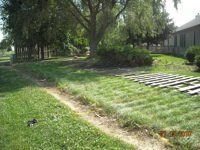A lawn with a path going through it and a tree in the background.