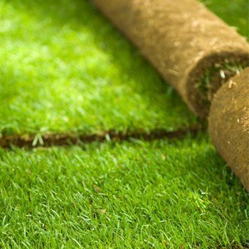 Expert turfing services