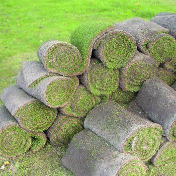 Turf suppliers