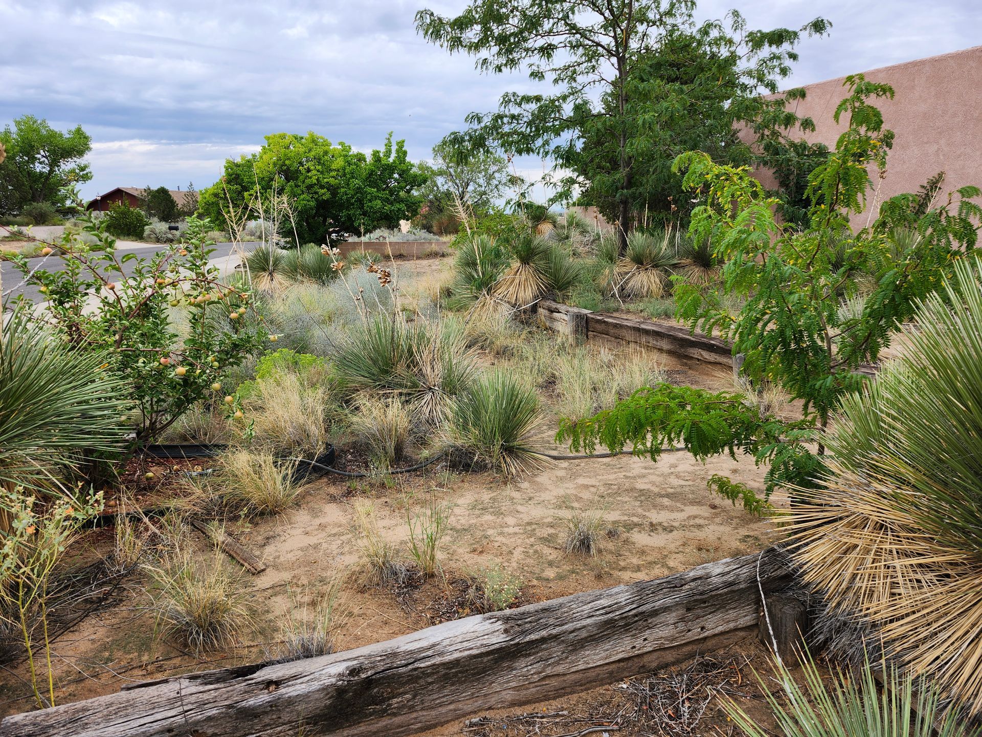 There is a wooden fence in the middle of the field.