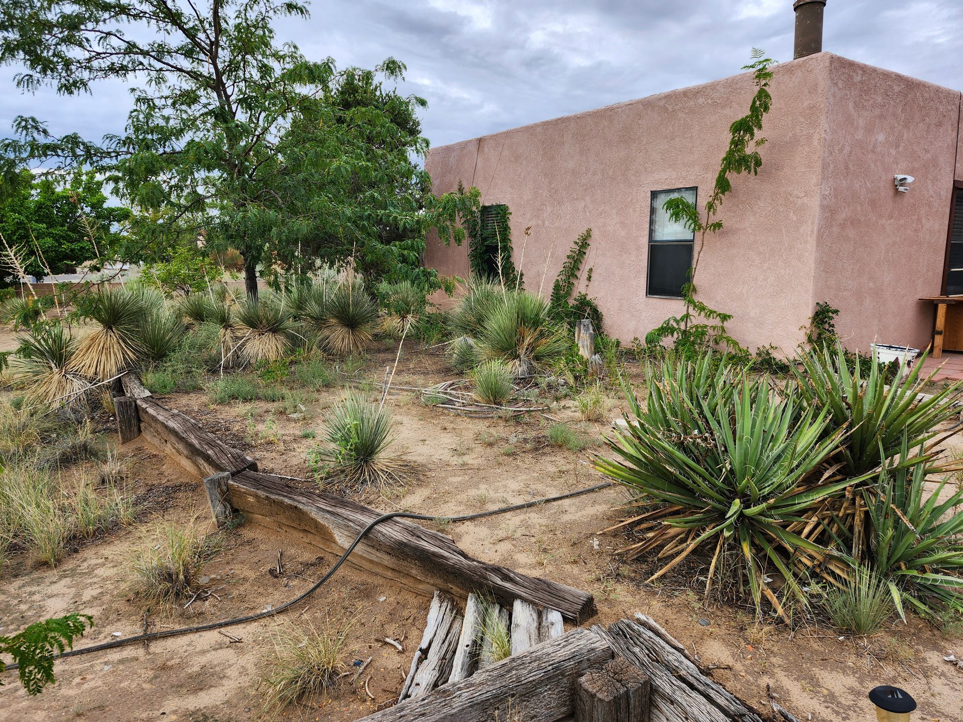 A house with a lot of plants in front of it
