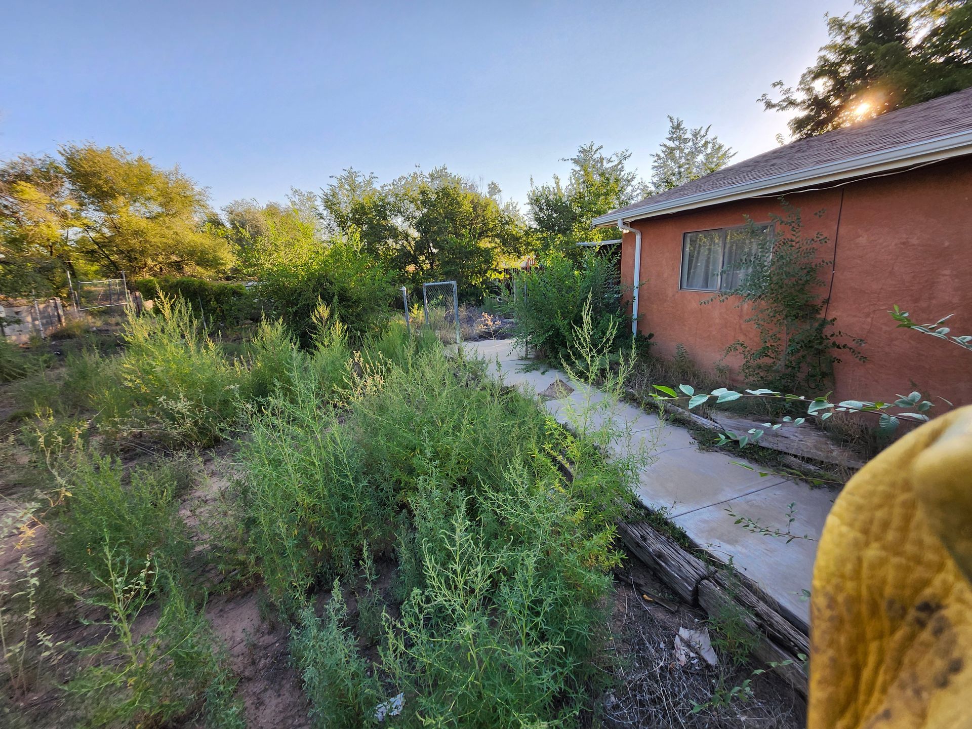 A house with a lot of plants in front of it.