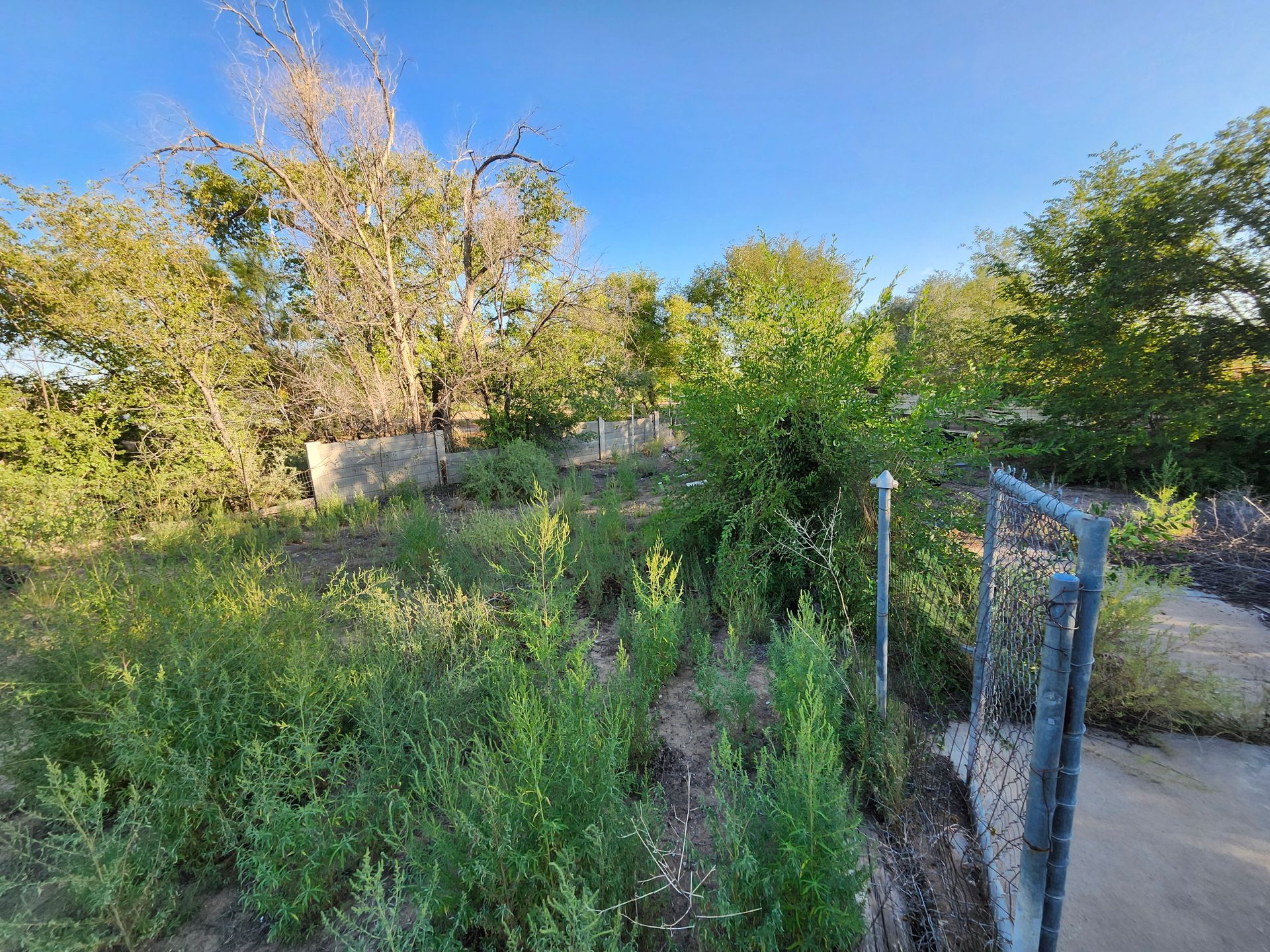 A fence surrounds a lush green field with trees and bushes.