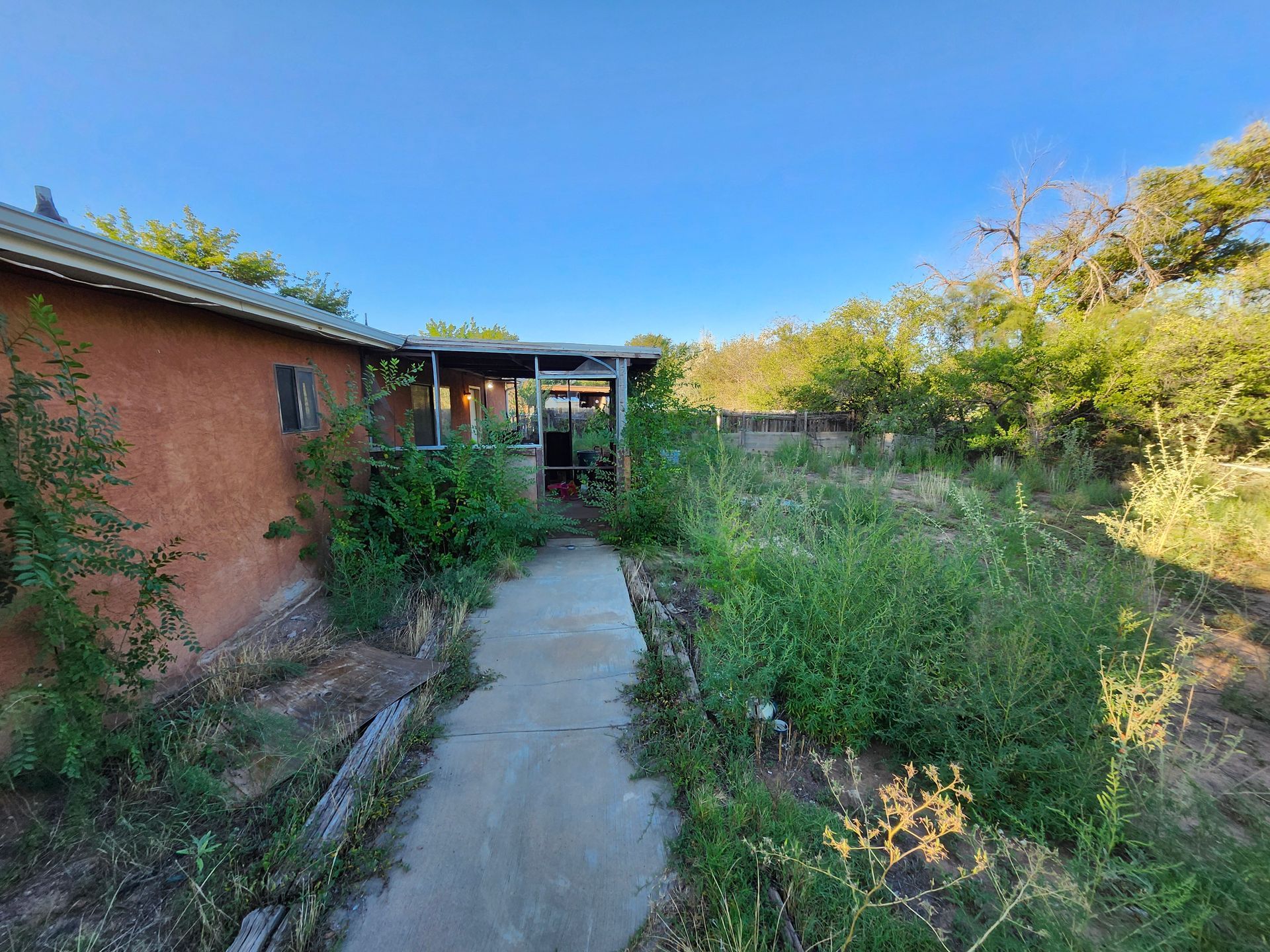 A dirt path leading to a house surrounded by trees and bushes.