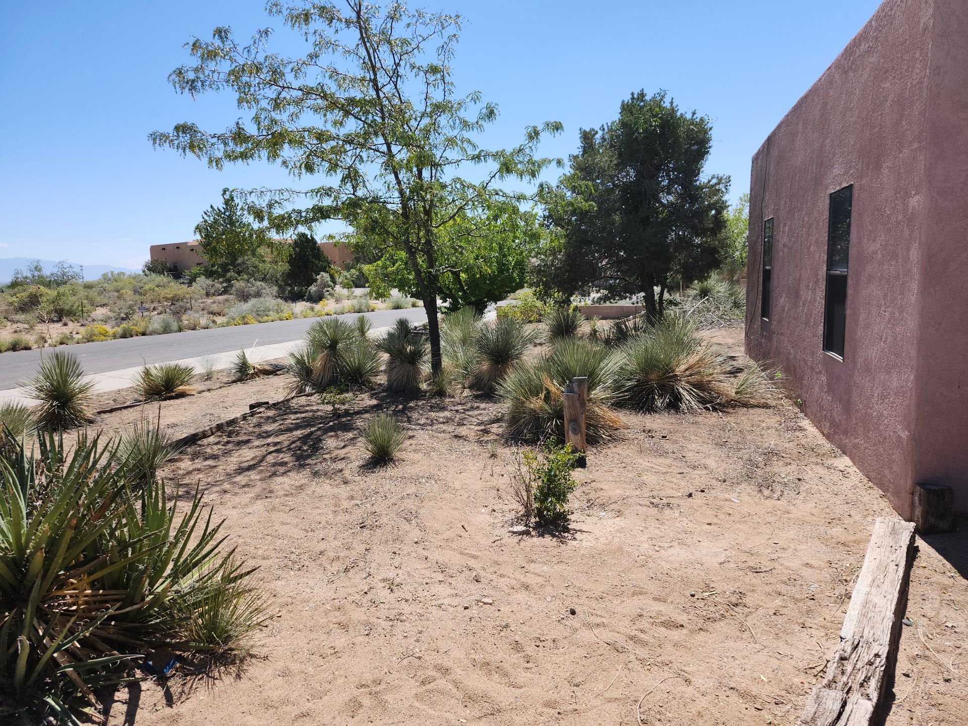 A house with a lot of plants in front of it
