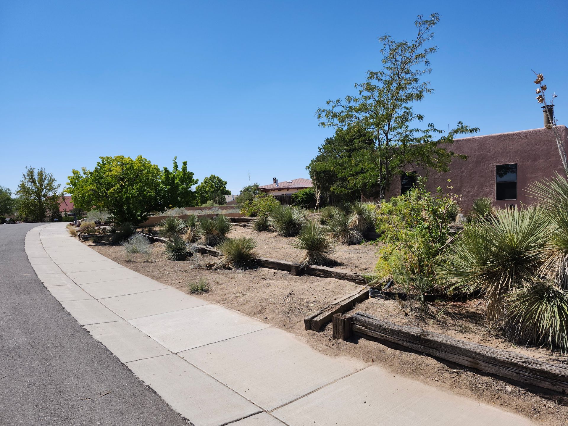A sidewalk leading to a house in a residential area