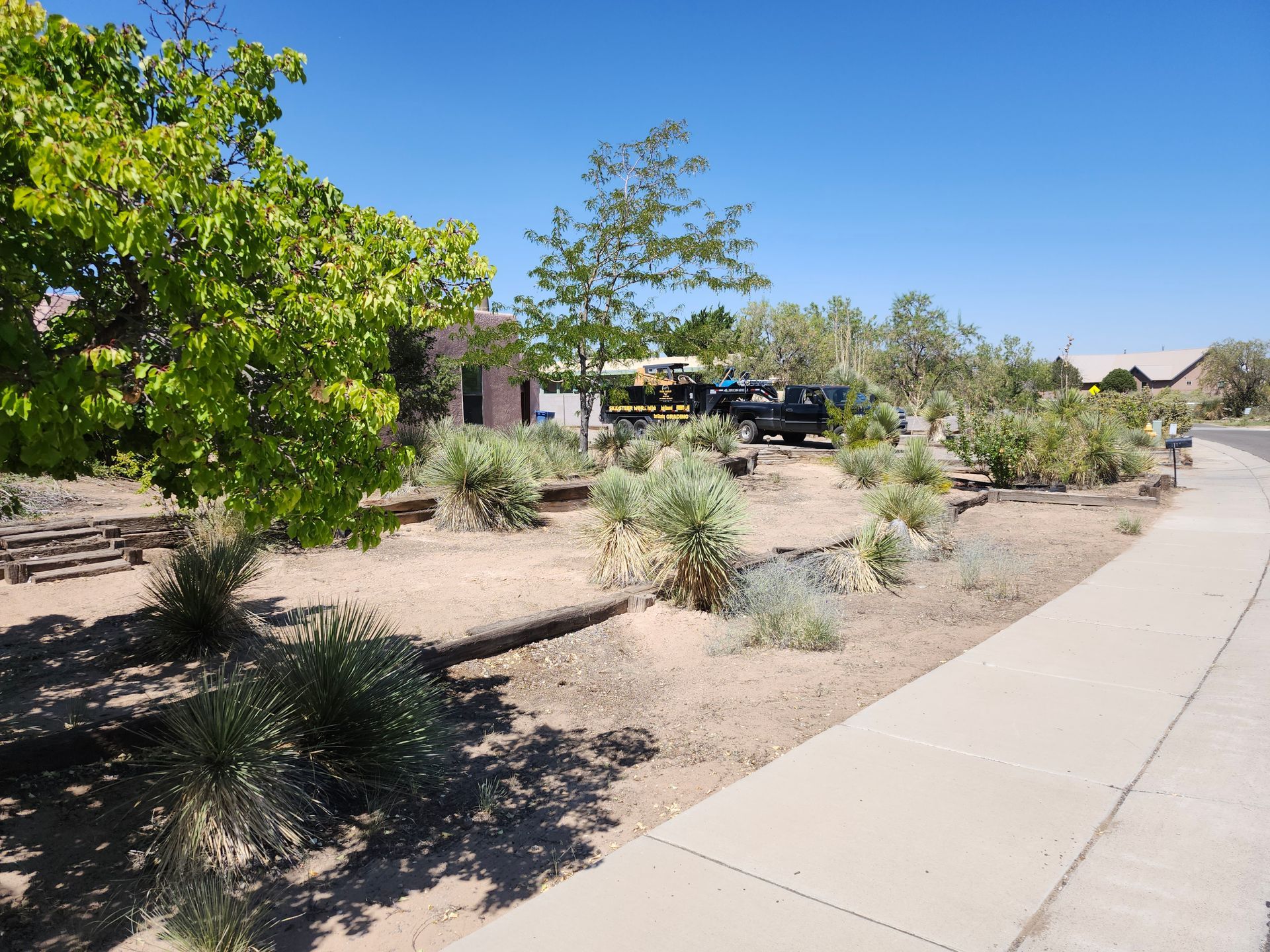 A concrete sidewalk with trees and bushes along the side of it.