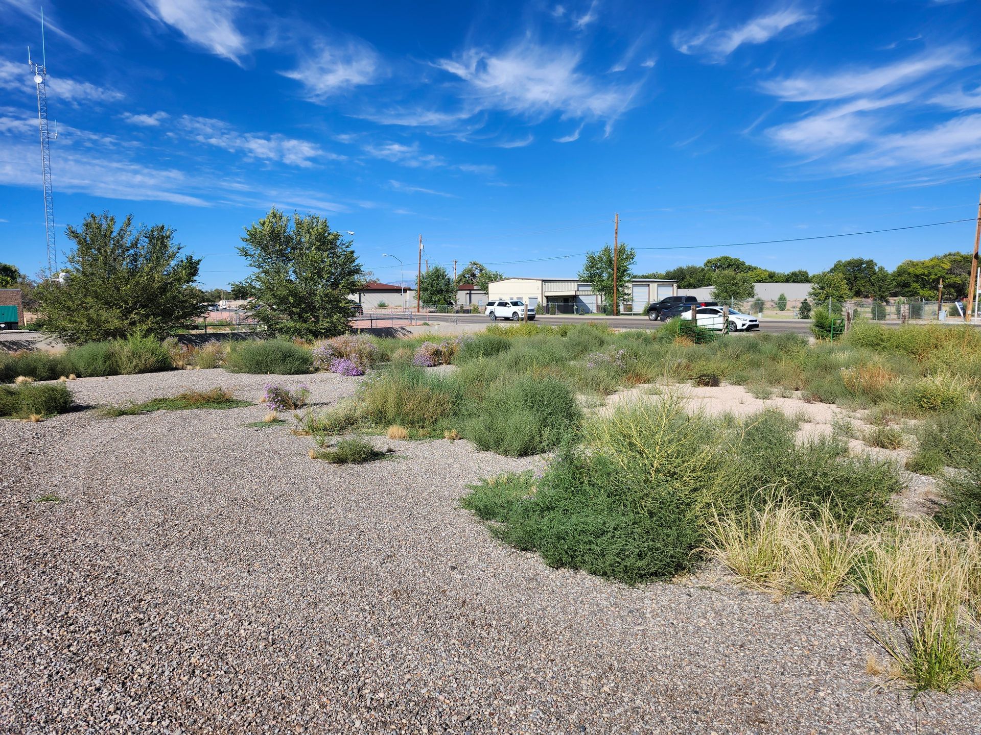 A gravel area with a lot of plants and trees in the background.