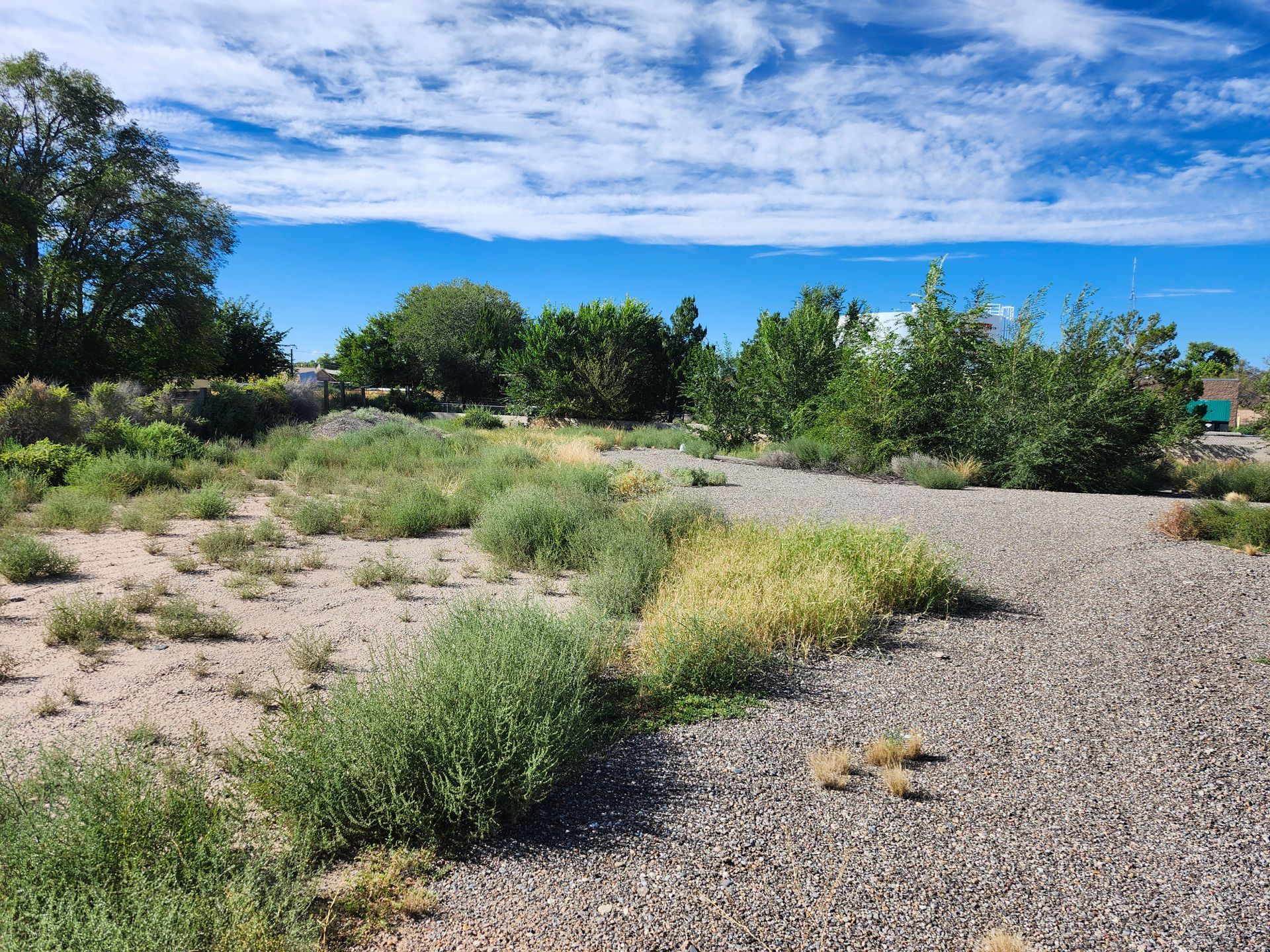 A gravel road surrounded by trees and bushes on a sunny day