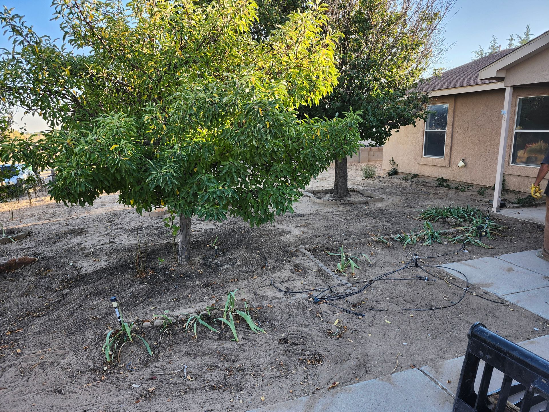A backyard with a bench and a tree in front of a house.