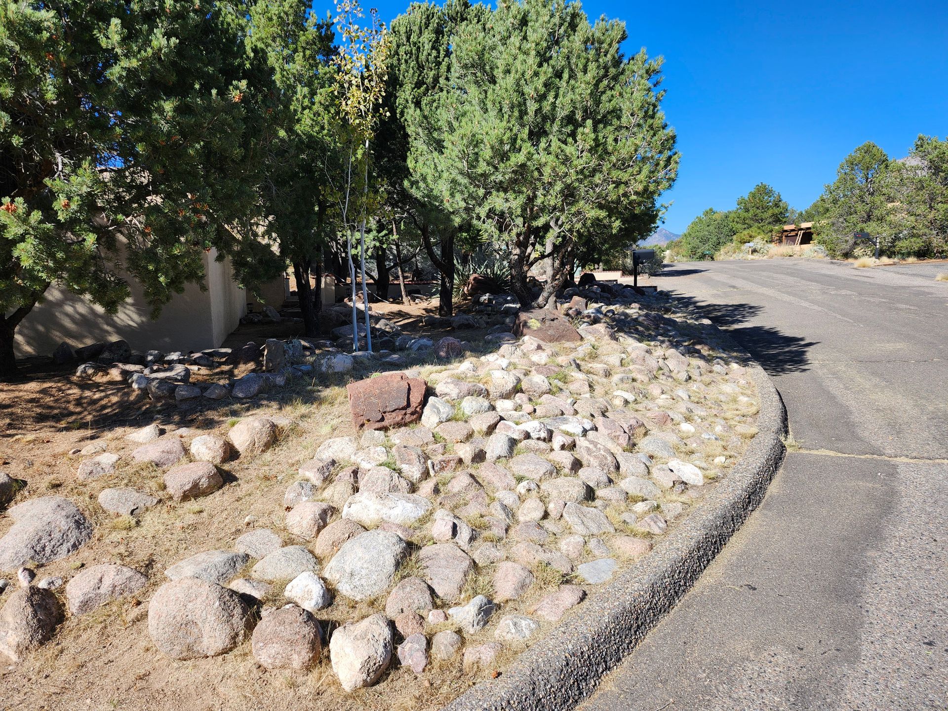 A road with a lot of rocks and trees on the side of it.
