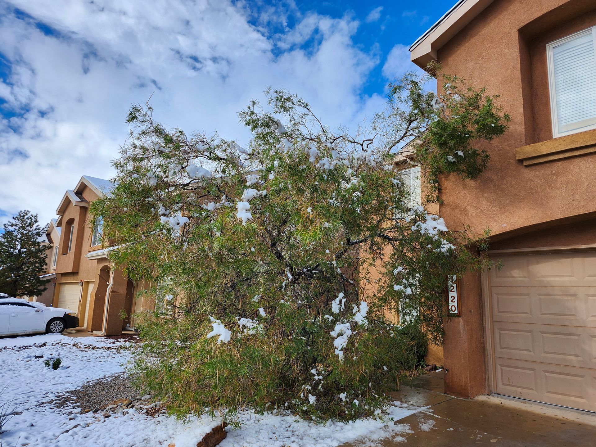 A tree that has fallen in front of a house covered in snow.