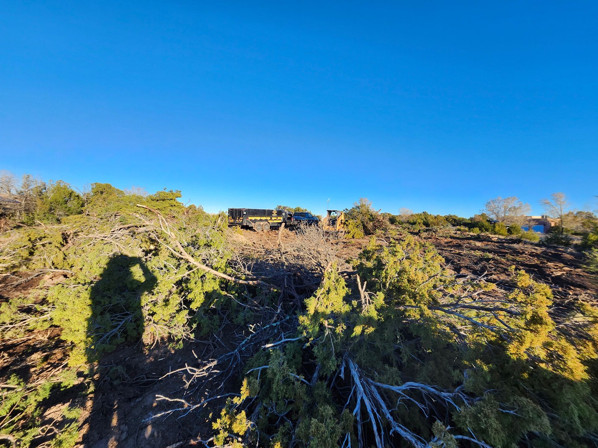 A jeep is parked on top of a hill surrounded by trees.