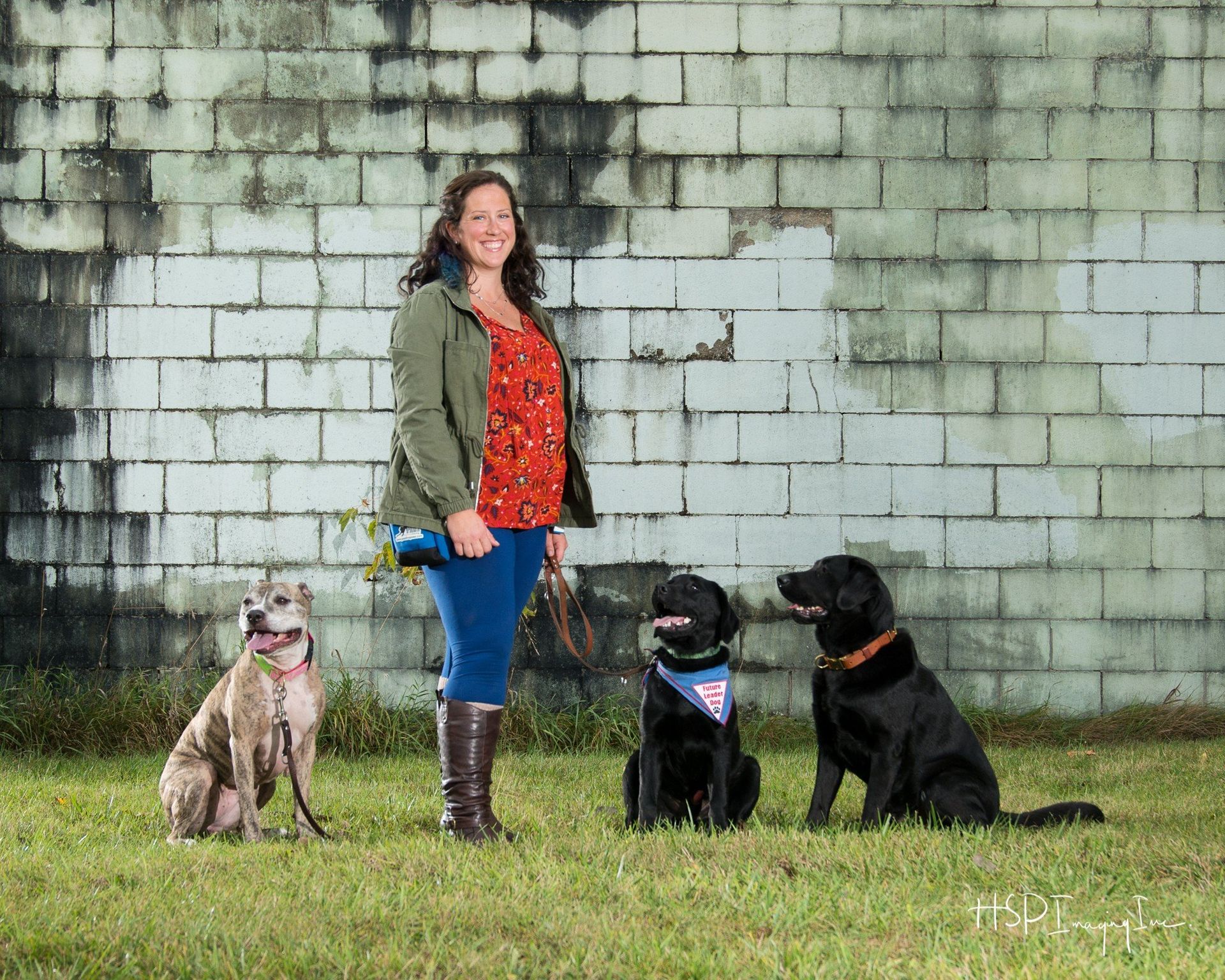 Kellie Smith Positive Paws Dog Training in Fenton Michigan