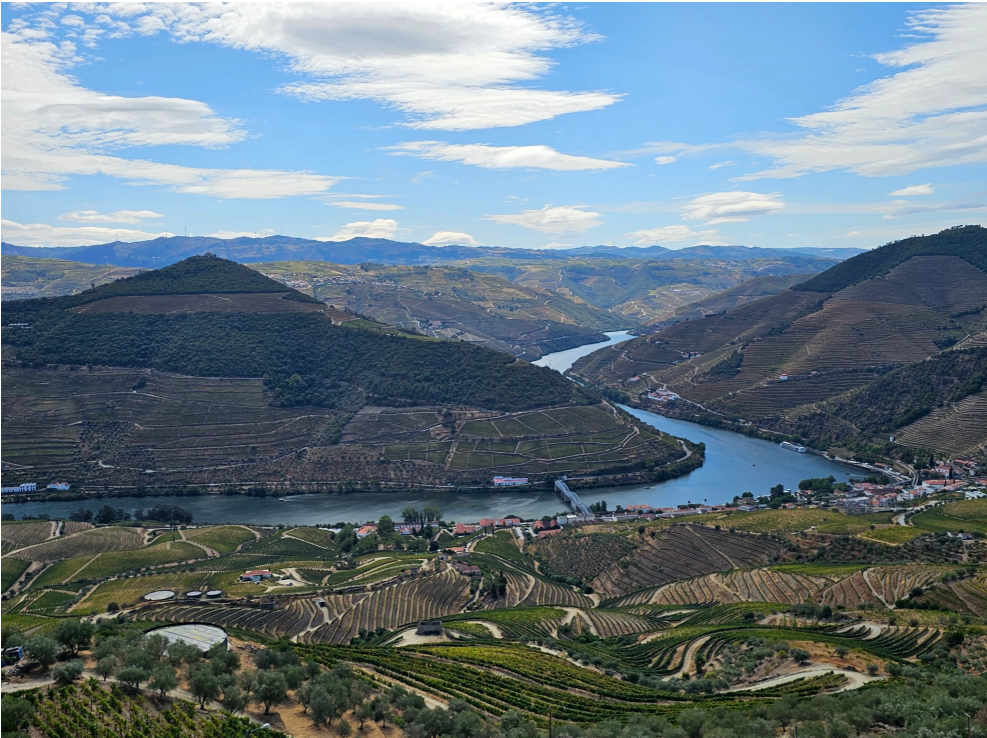 View Douro Valley