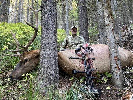 Montana elk hunting outfitter, Montana elk hunt, Rick Wemple