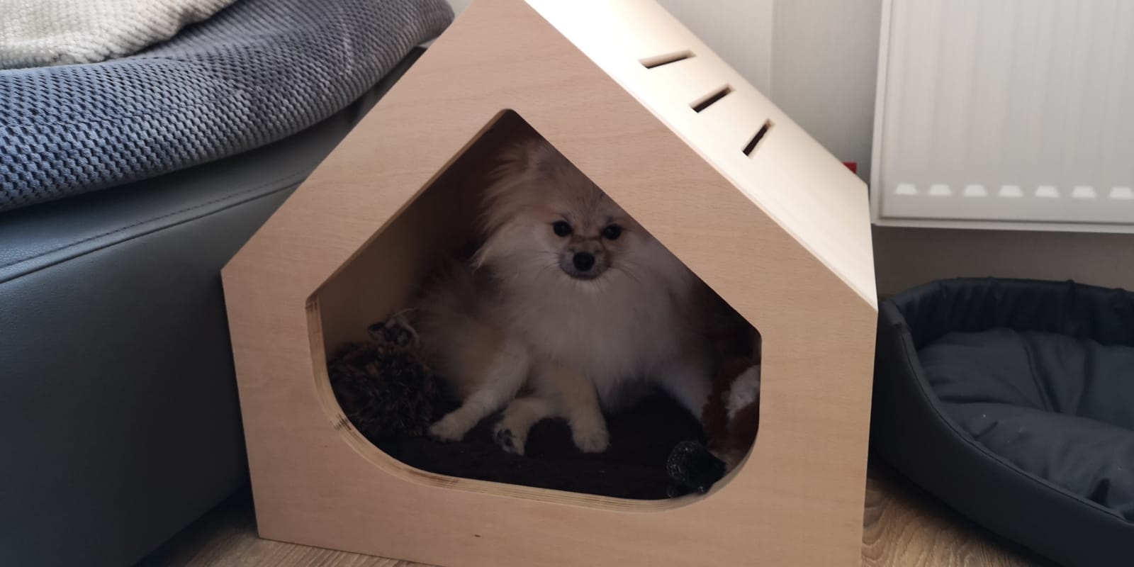 Suņu māja, dzīvnieku māja, dzīvnieku gultas