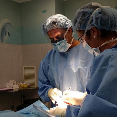 doctor performing foot surgery
