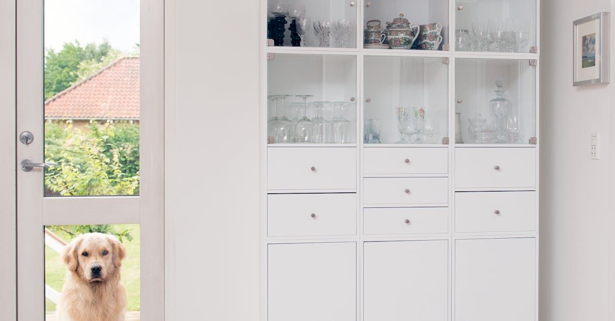 White cabinets with a sleek finish. Transform your space with custom cabinet painting and refinishing services in Dallas.