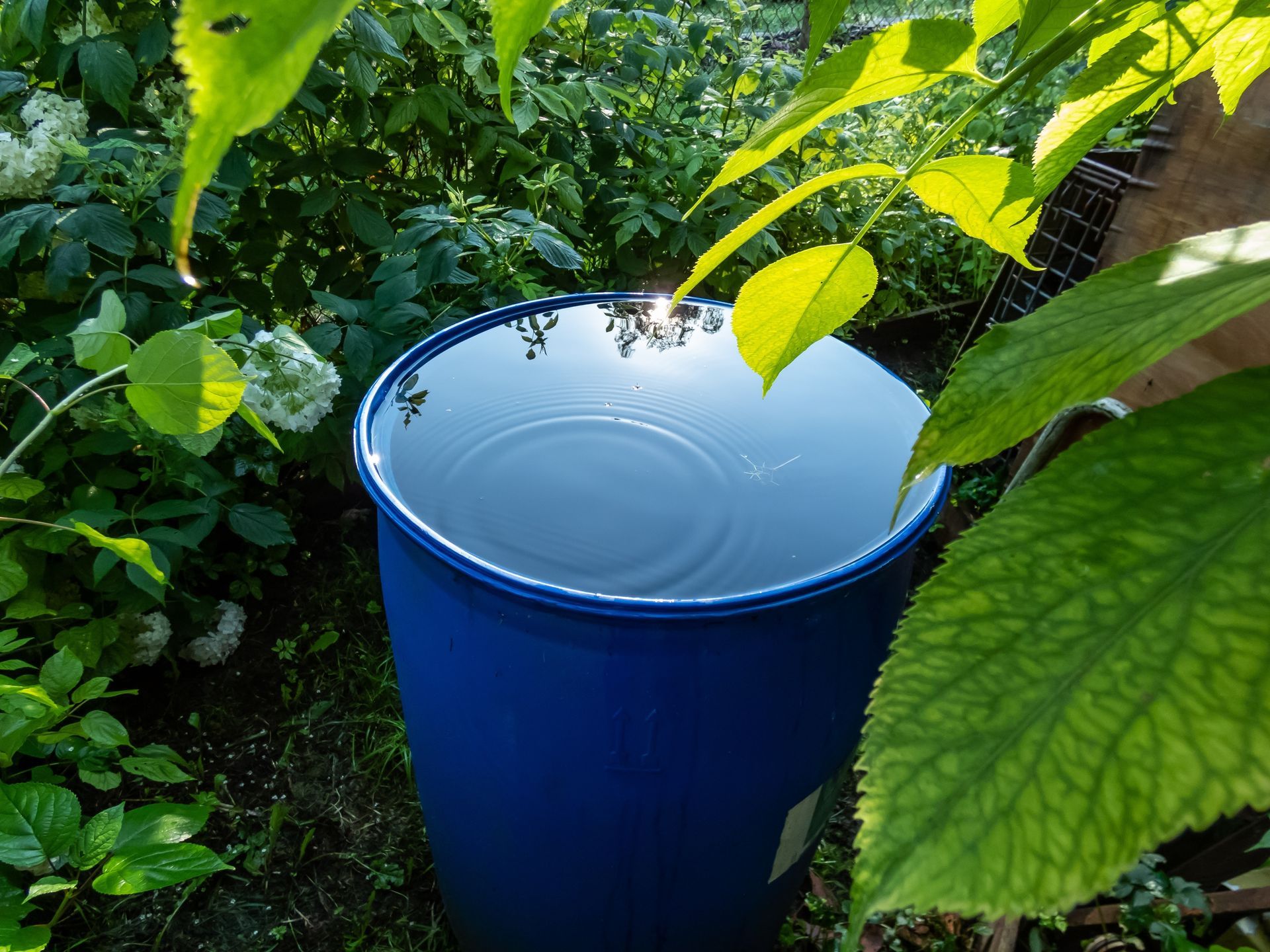 Man in achtertuin die regenwater opvangt