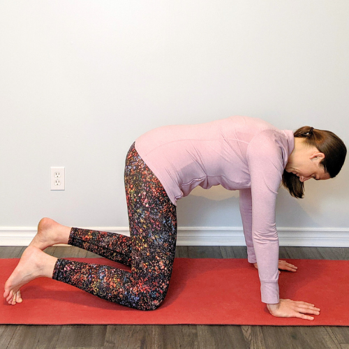 Woman in yoga pose (cat stretch) on a red mat, hands and knees down, back arched.