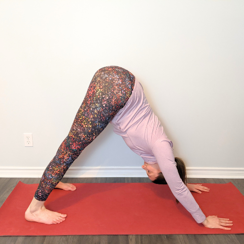 Woman in yoga pose on a red mat, stretching. They are in downward-facing dog position.