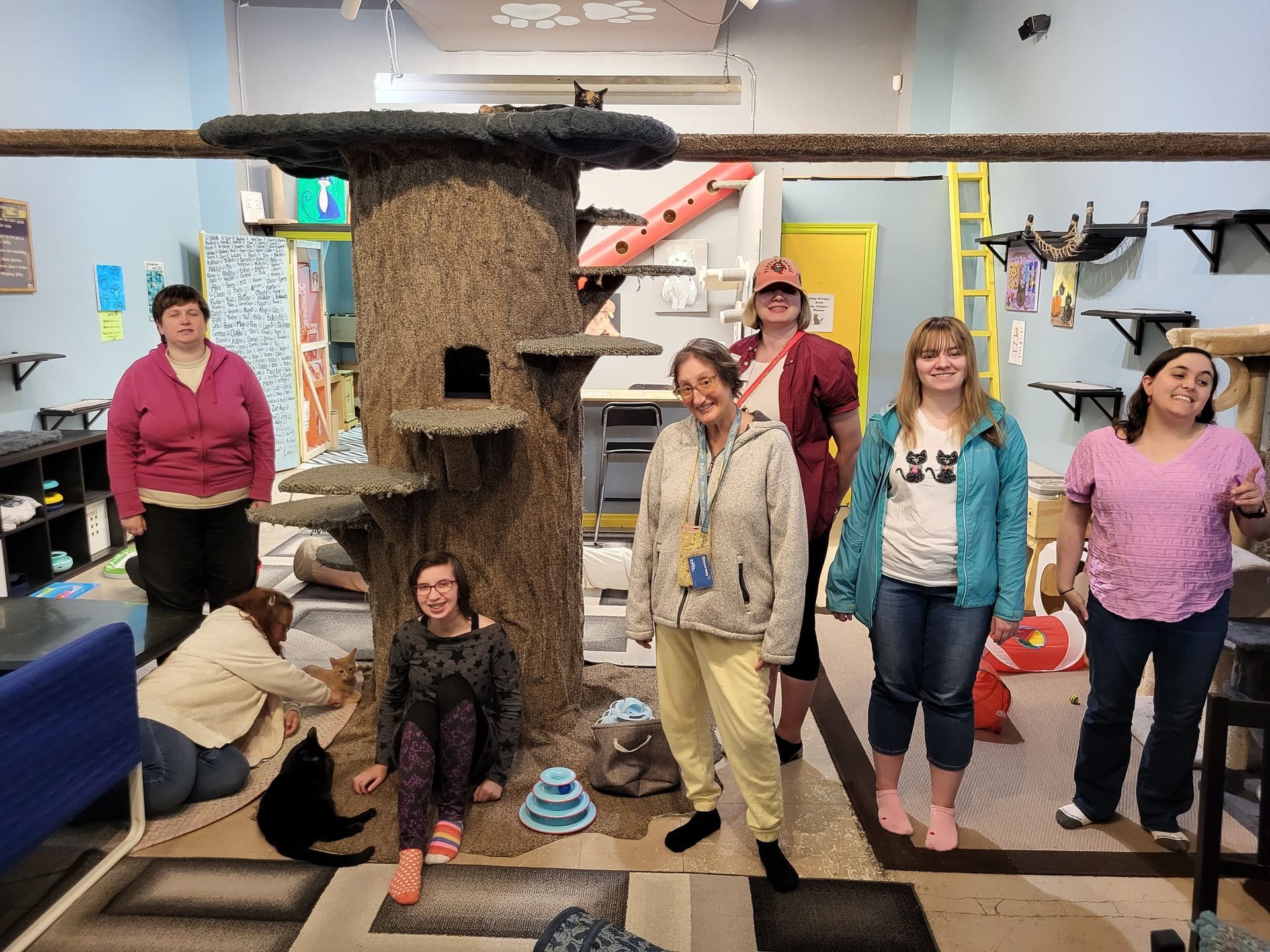 Women with cats in a cat cafe, posing around a large cat tree.