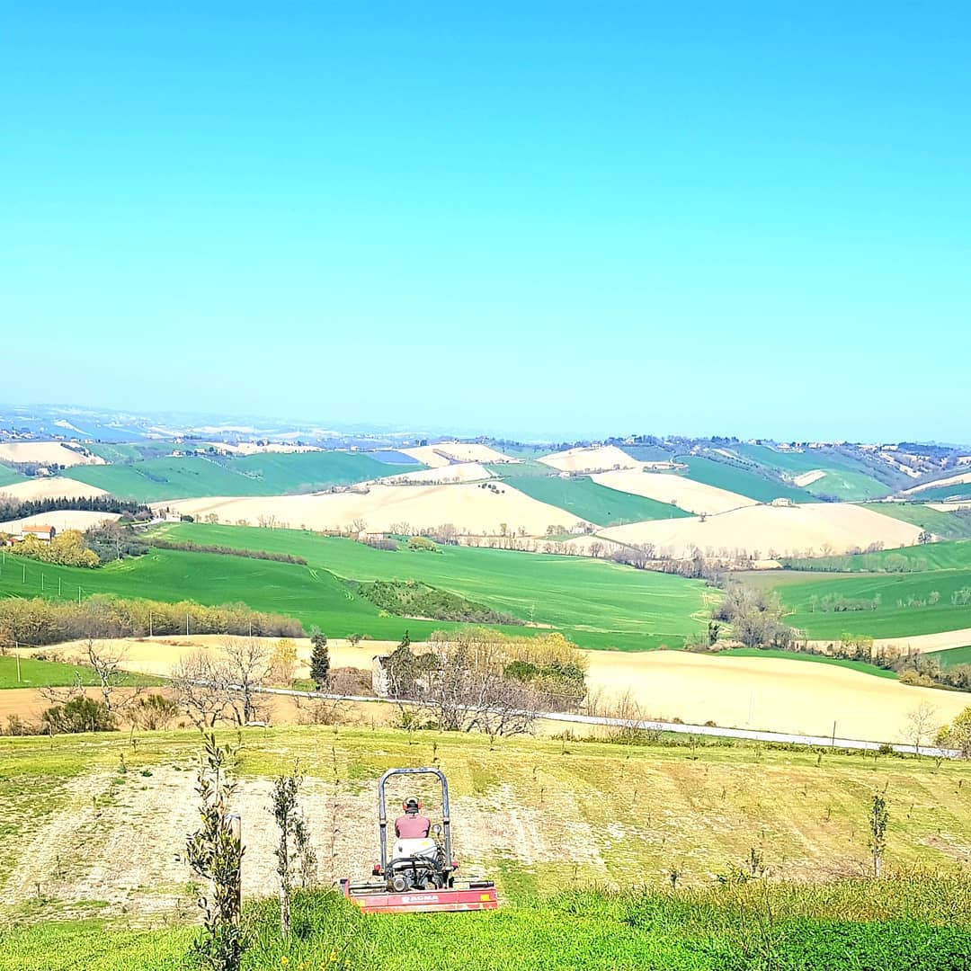 la collina dei cavalieri, vista