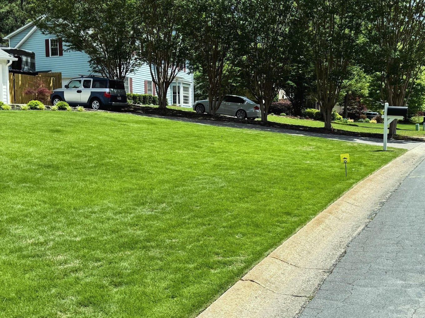 A lush green lawn with a mailbox on the side of the road in front of a house.