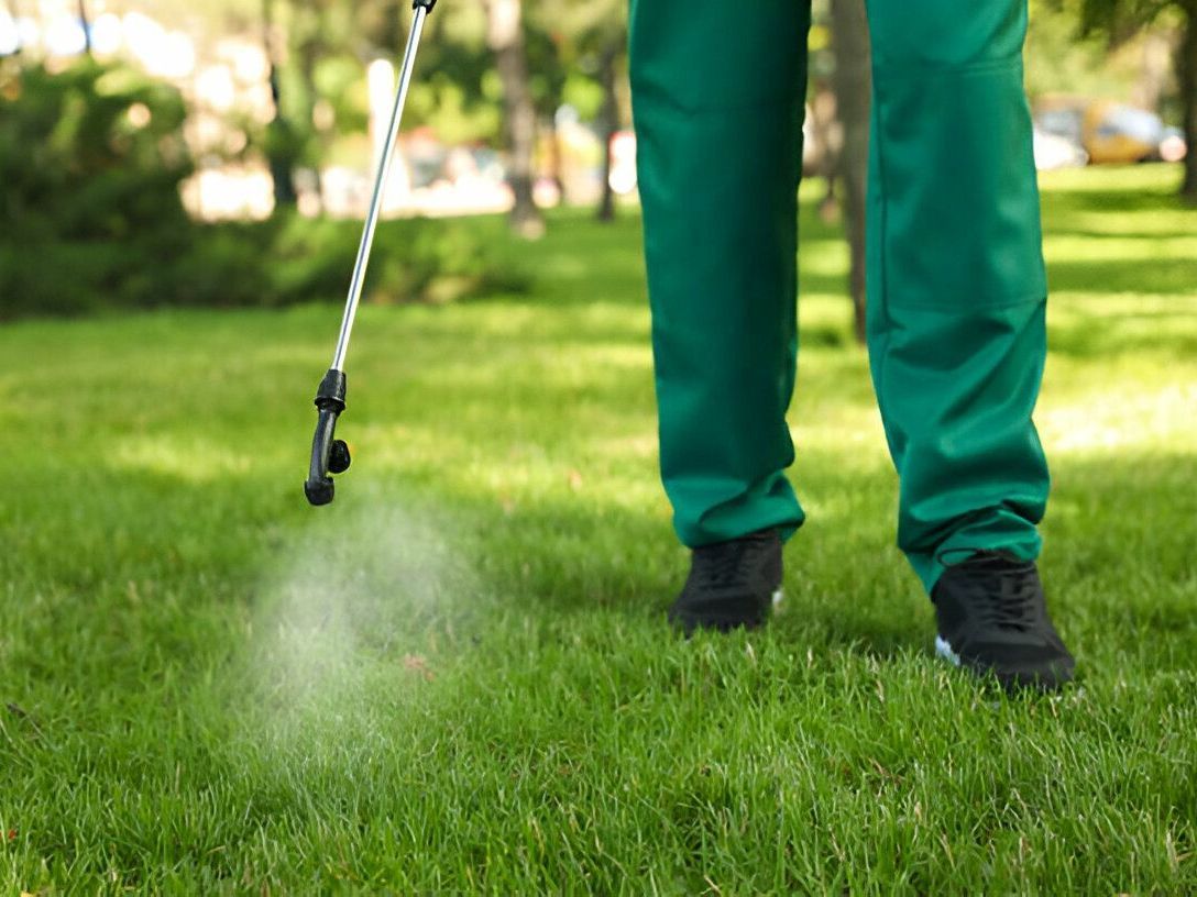 A person is spraying a lawn with a sprayer.