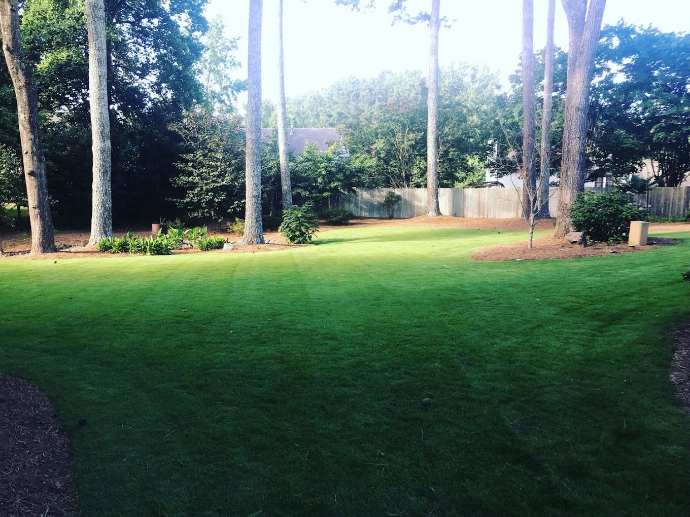 A lush green lawn with trees in the background