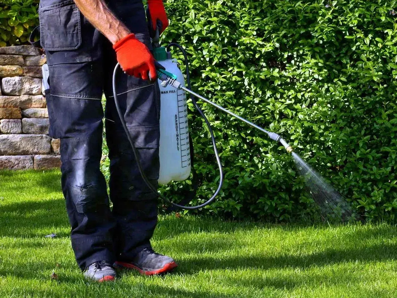 A man is spraying a lawn with a sprayer.