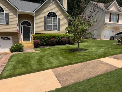 A close up of a lush green lawn with a blurry background.