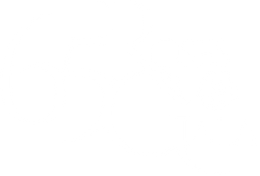 65 Roses Gala