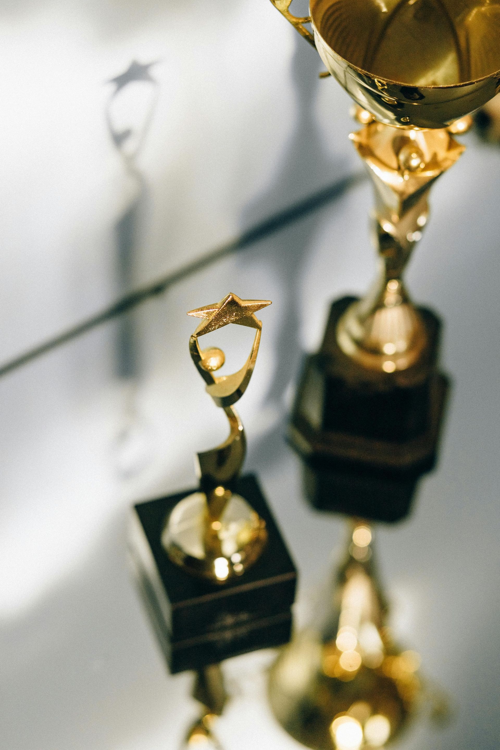 Two gold trophies on a reflective surface, one small and one larger, with black bases.