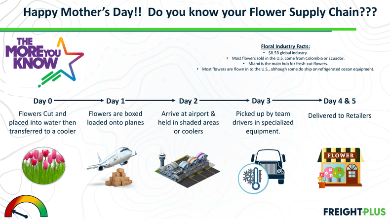 Flower Supply Chain Timeline