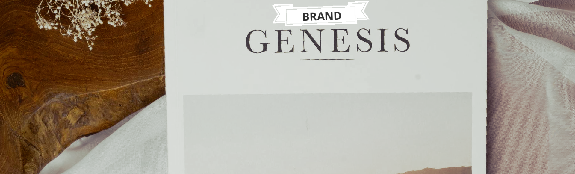 Image of book with the words Brand Genesis