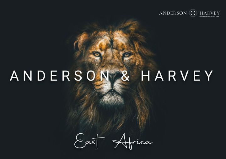 Lion portrait logo on dark background with text “ANDERSON & HARVEY” and “East Africa”