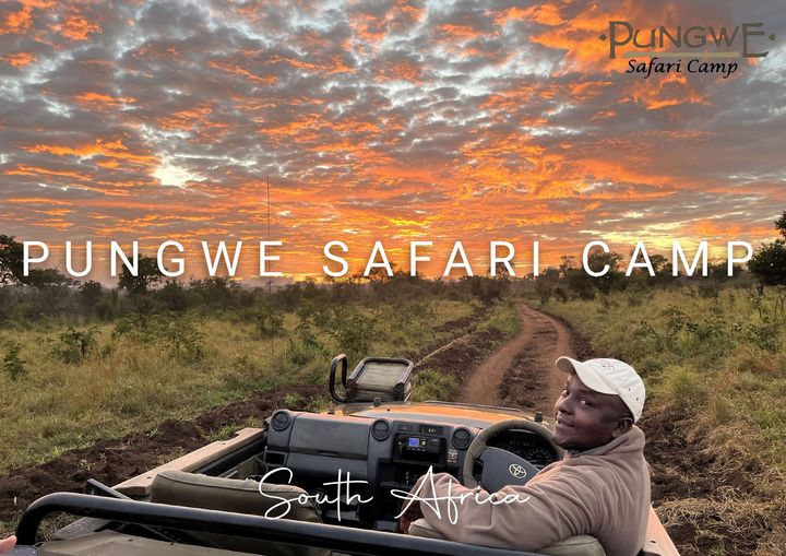 Safari jeep on a dirt track at sunset under a colorful sky, with “Pungwe Safari Camp” text.