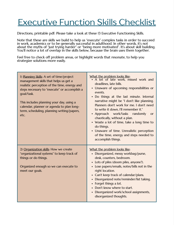 A checklist for executive function skills is shown on a white background.