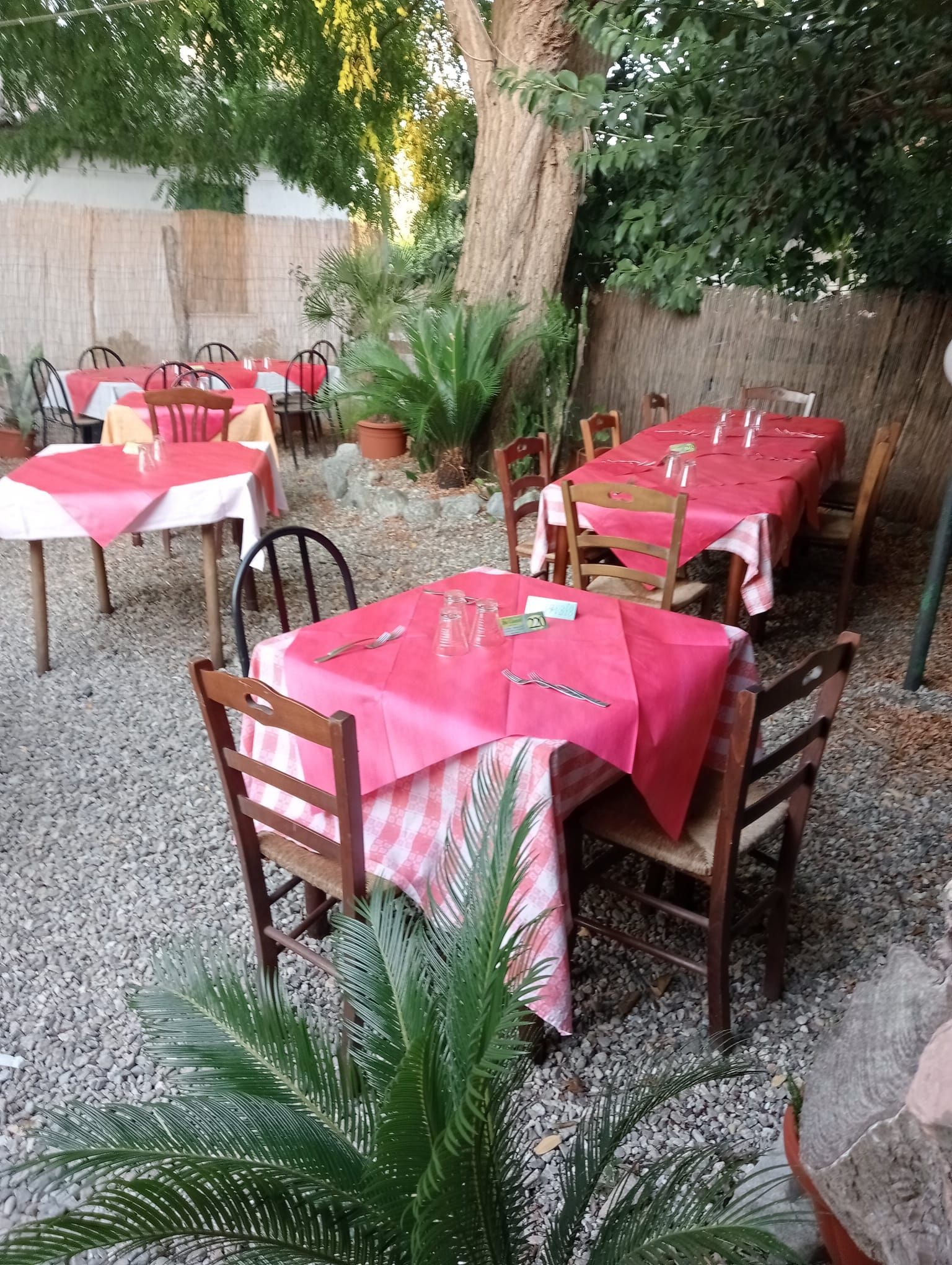 Tavoli da ristorante all'aperto apparecchiati con tovaglie rosa, circondati da piante e ghiaia.