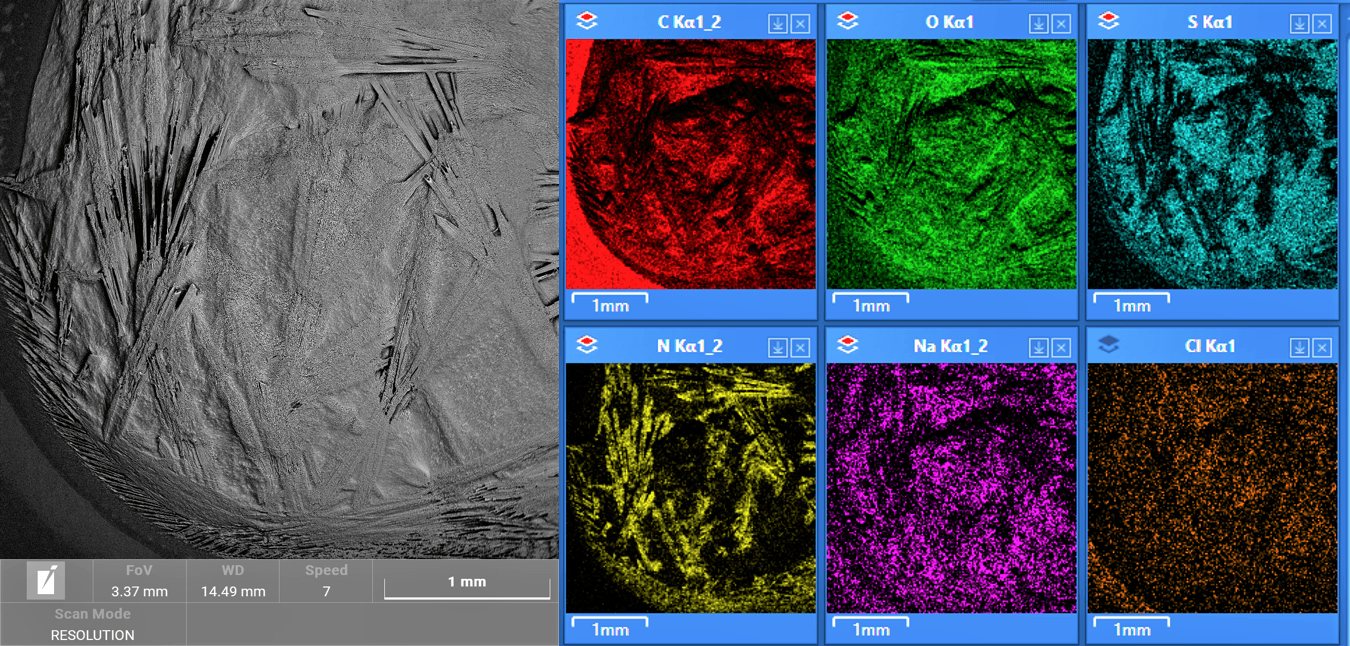 SEM image of urea crystals