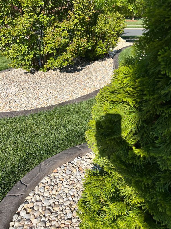 Curved garden bed with white gravel, green grass, and shrubs in bright daylight