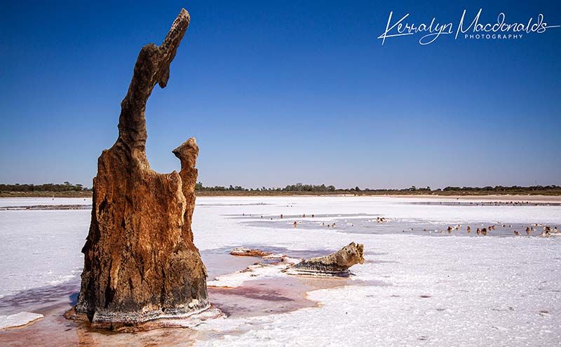Landscape Photography in Mildura
