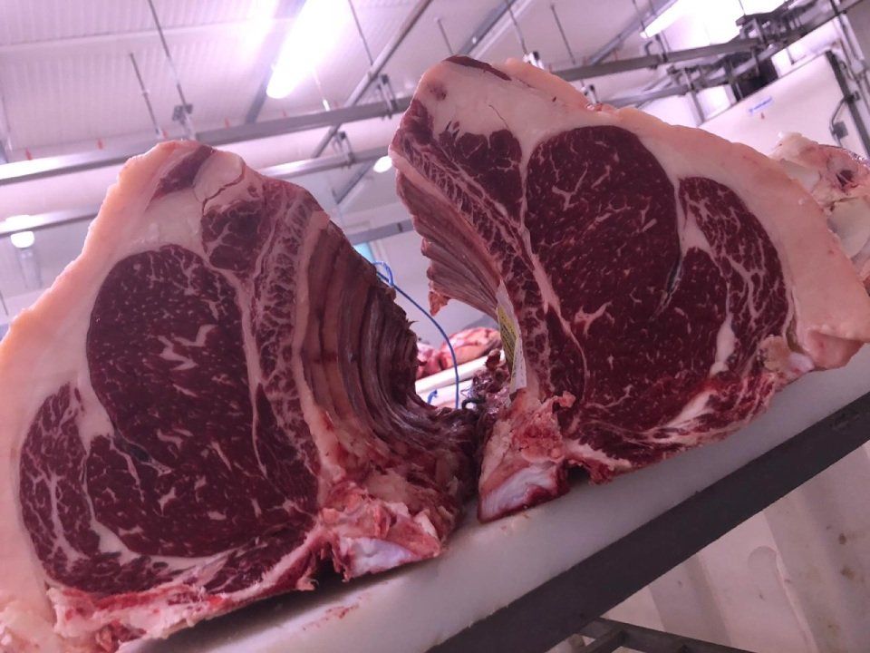 lavorazione carni bovine